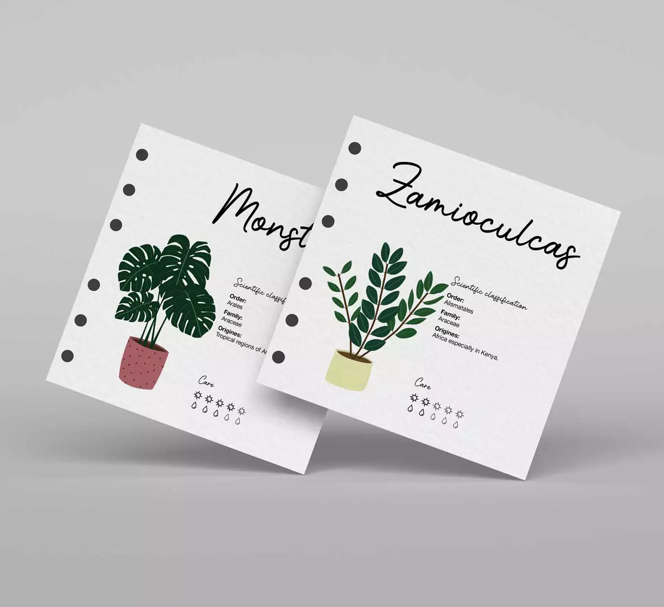 2 cartes du guide pour plantes